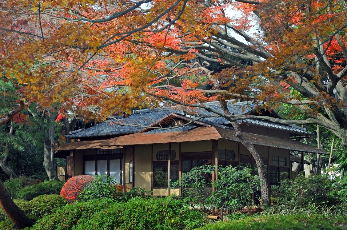 NEIGHBORHOOD